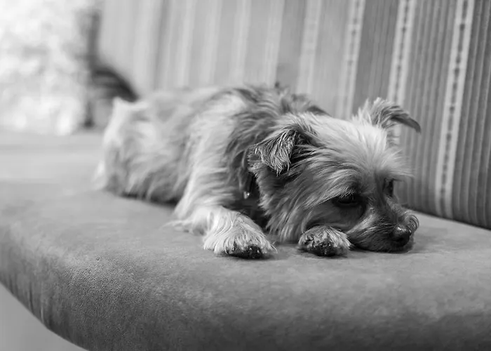 Отель Bar & Restaurant Герлос