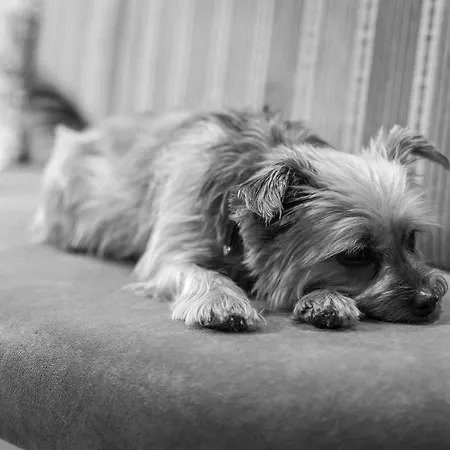 Hotel Bar & Restaurant Gerlos